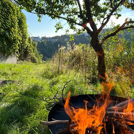 Cozy Hillside In The City Krems an der Donau